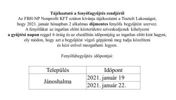 Tájékoztató a fenyőfagyűjtés rendjéről 2021. január