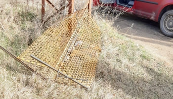 Rendszeresen megrongálják a kihelyezett ebcsapdákat