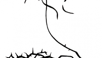 Áldott Húsvéti Ünnepeket kívánok