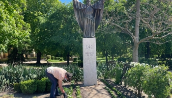 Jót tett az eső a város több pontján
