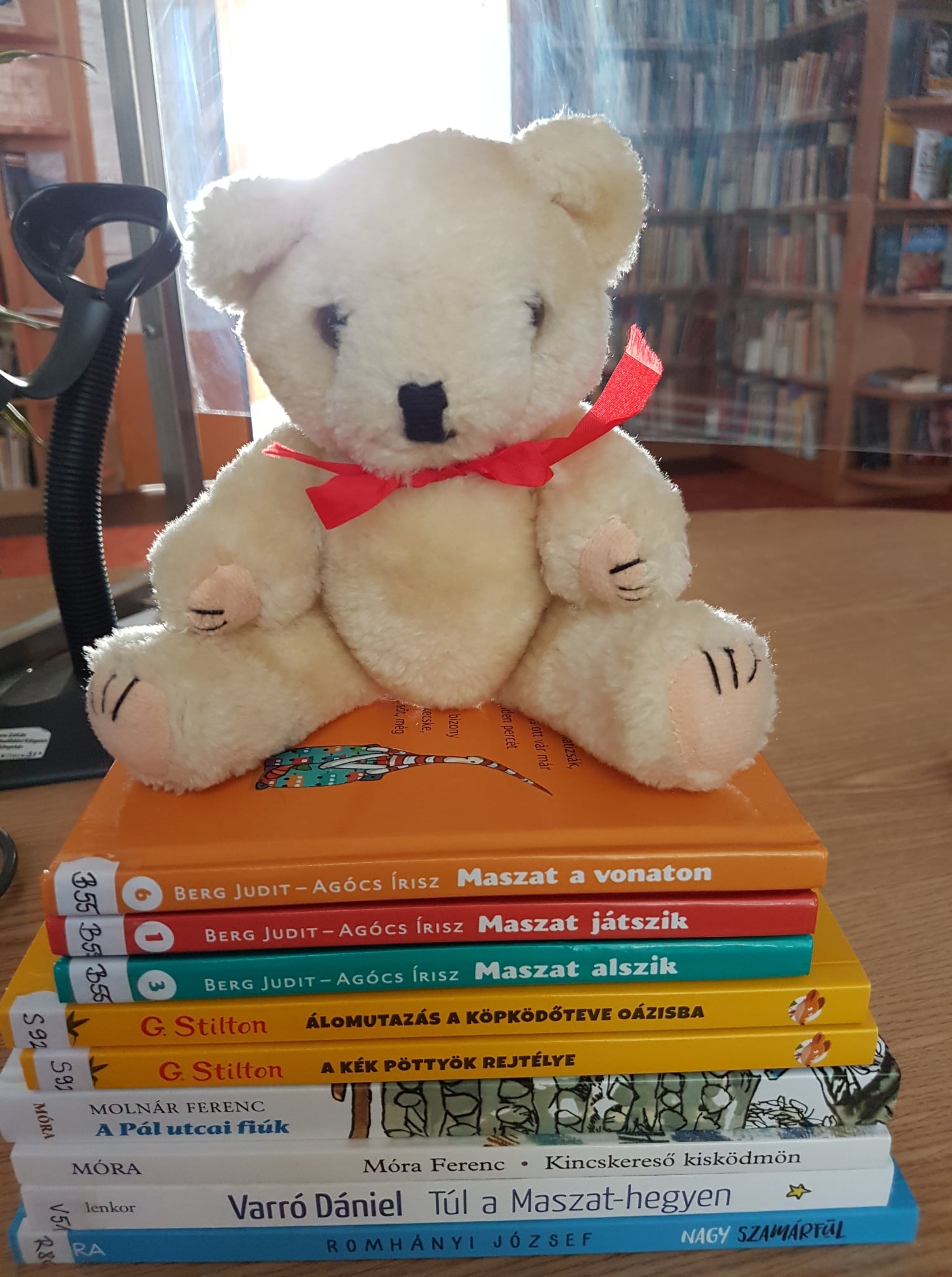 Folyamatosan érkeznek új könyvek a könyvtárba