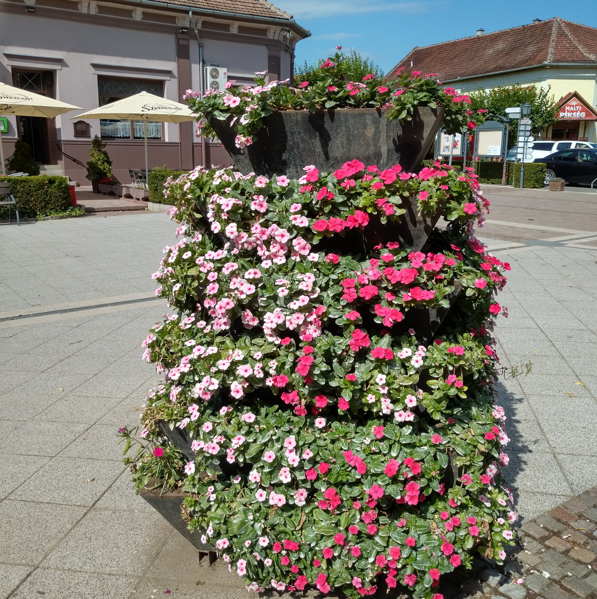 Jól bírja a hőséget - virág kompozíció