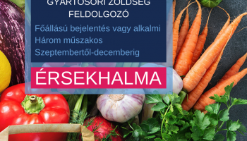 Zöldség-gyümölcs feldolgozó - állás