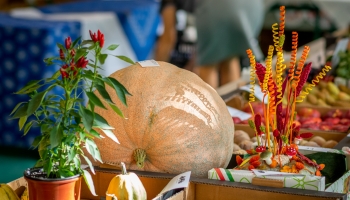 Szüreti Mulatság 2021 Videó