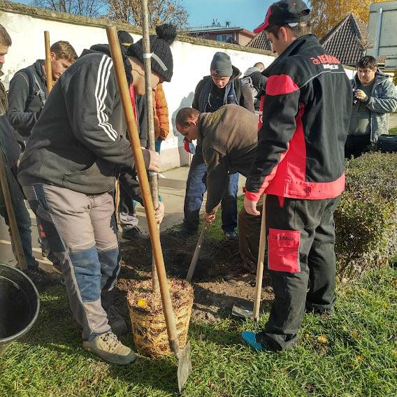 Fásítási Program - Jánoshalma