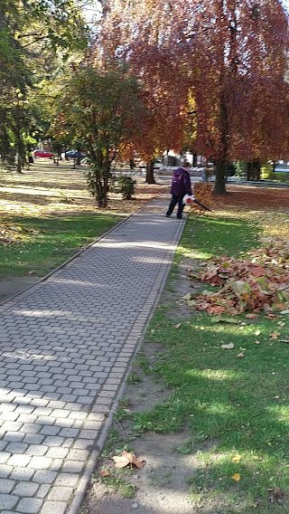 Jánoshalma - szép az őszi park