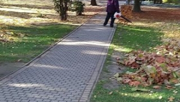 Jánoshalma - szép az őszi park