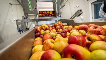 Projektzáró tájékoztató