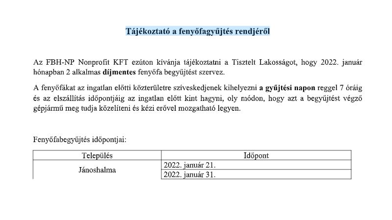 Tájékoztató a fenyőfagyűjtés rendjéről