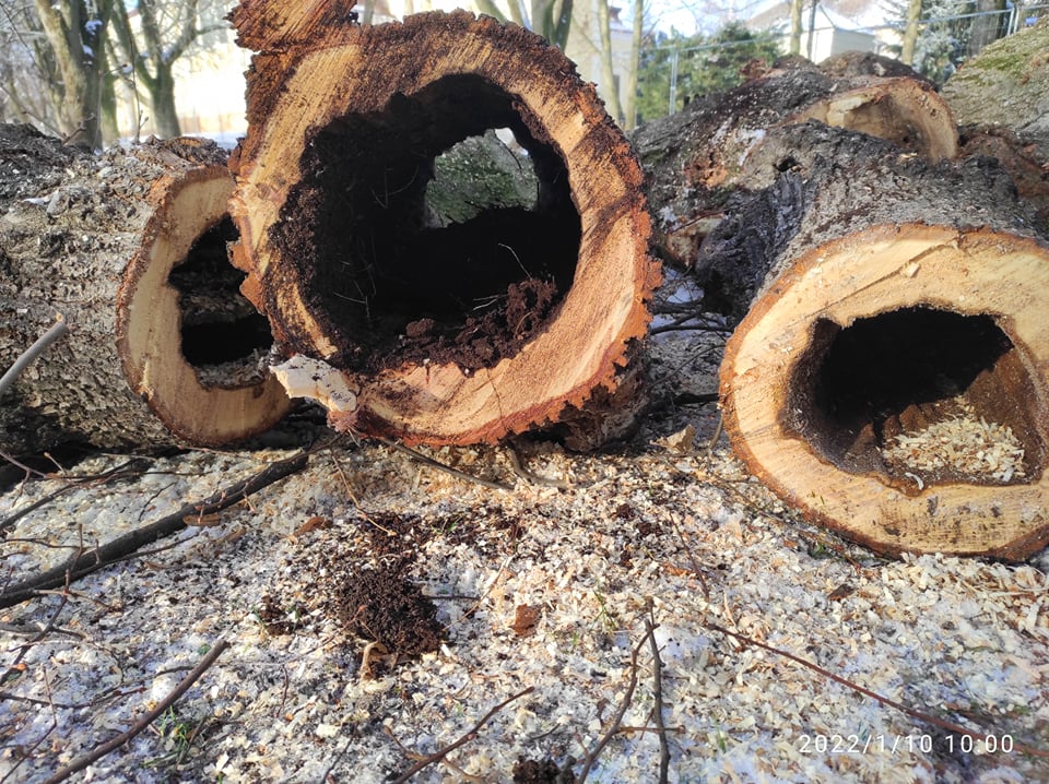 Az elmúlt napok szeles időjárása