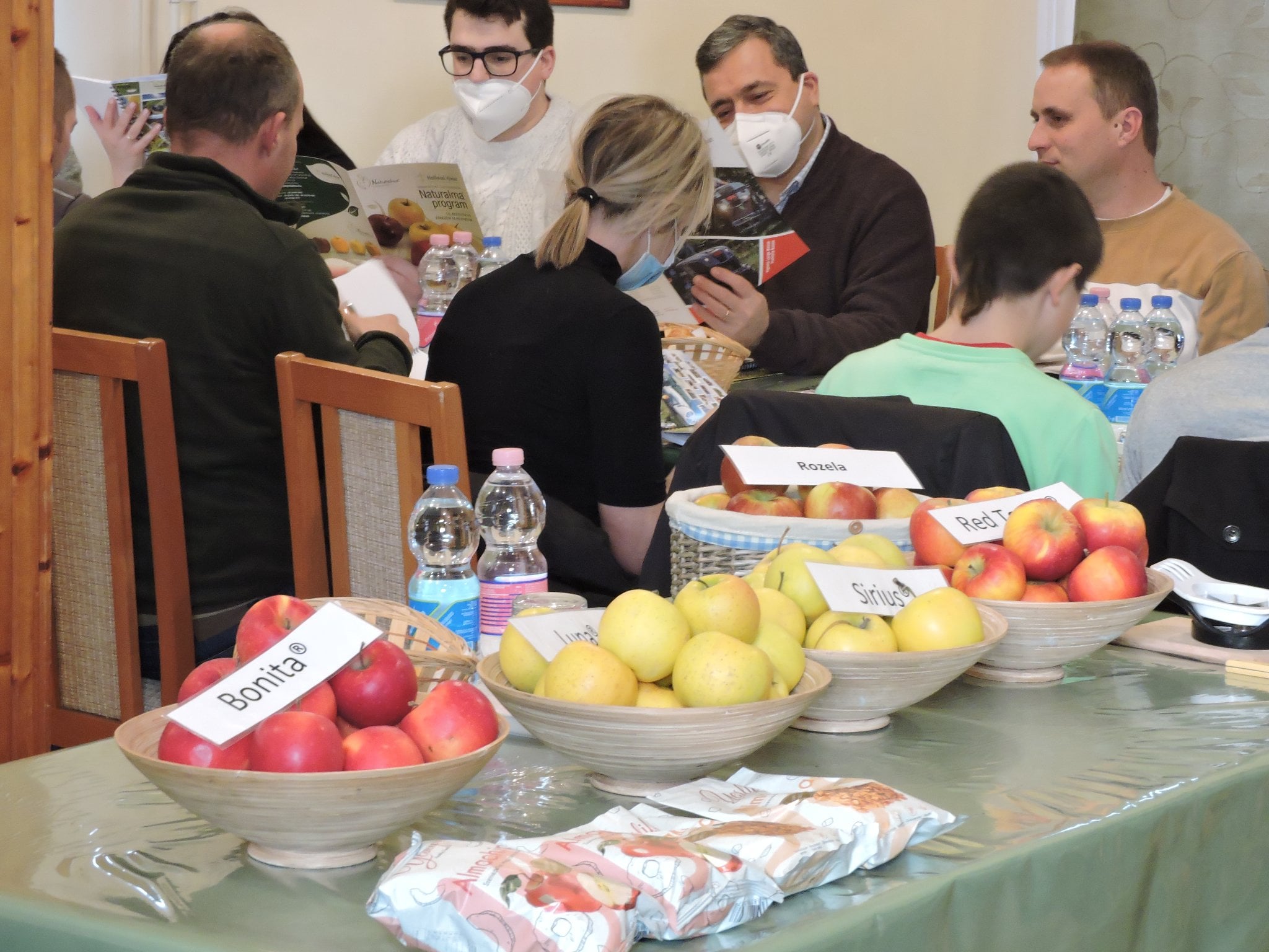 Holland Alma Kft. szakmai tájékoztató