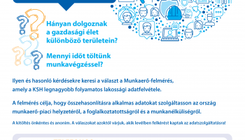 Munkaerő felmérés