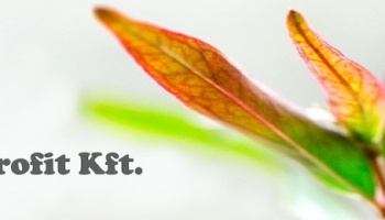 Tájékoztatás - hulladékszállításról