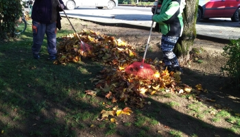 Elindultak a közfoglalkoztatási programok