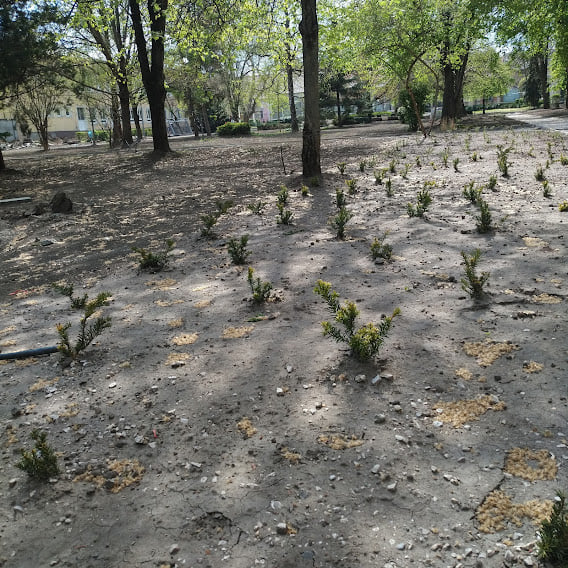 Most már minden a rendezettség felé tart