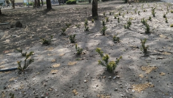 Most már minden a rendezettség felé tart