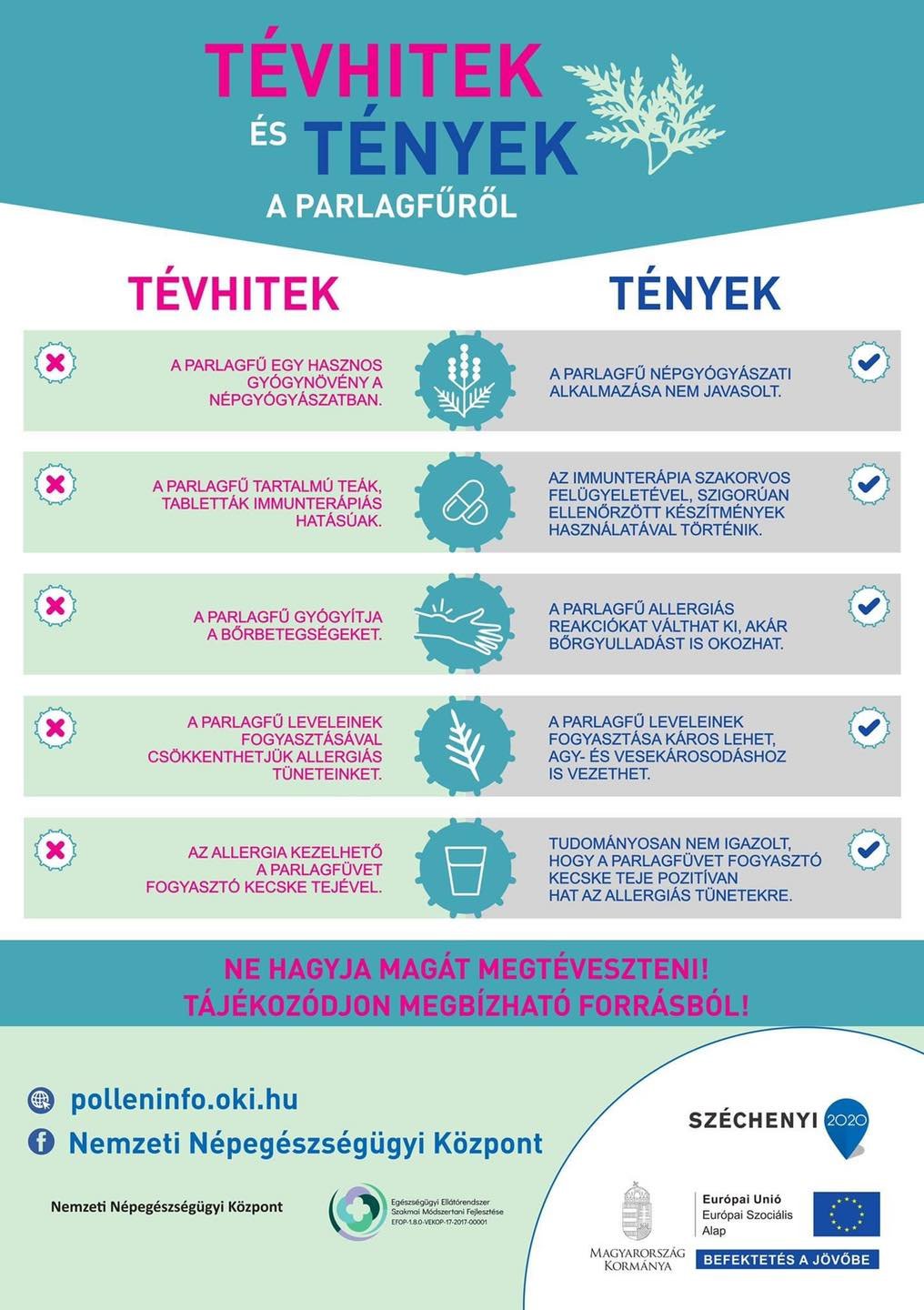 Tévhitek és tények a parlagfűről