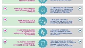 Tévhitek és tények a parlagfűről