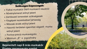 Munkalehetőség - Városgazda Kft.