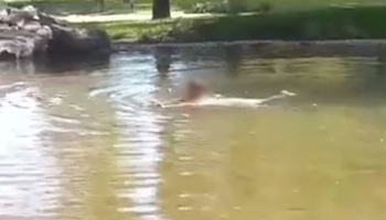 Levél a Jánoshalmi oktatási intézmények vezetőinek