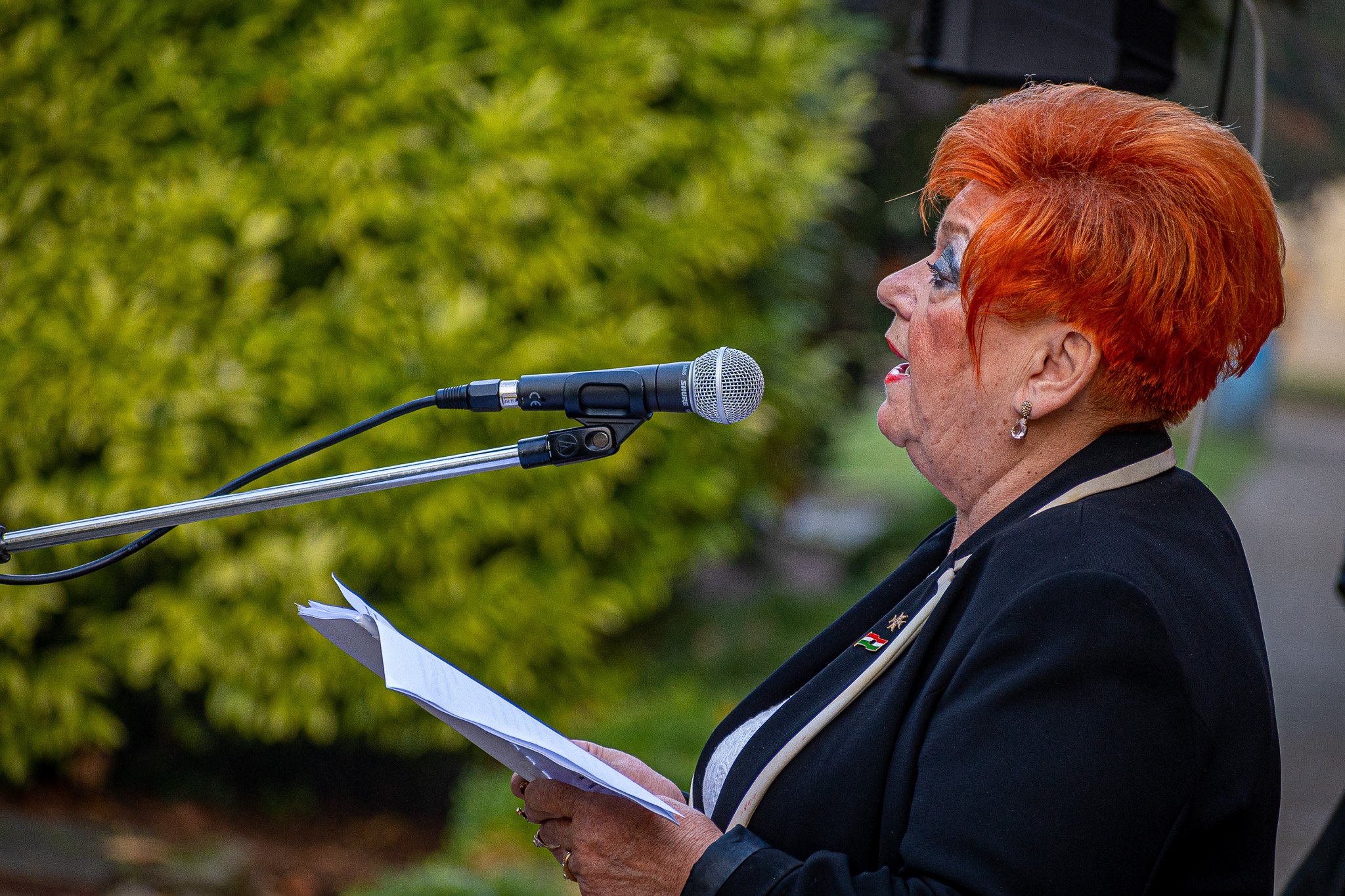 Képes beszámoló a városi ünnepi megemlékezésről