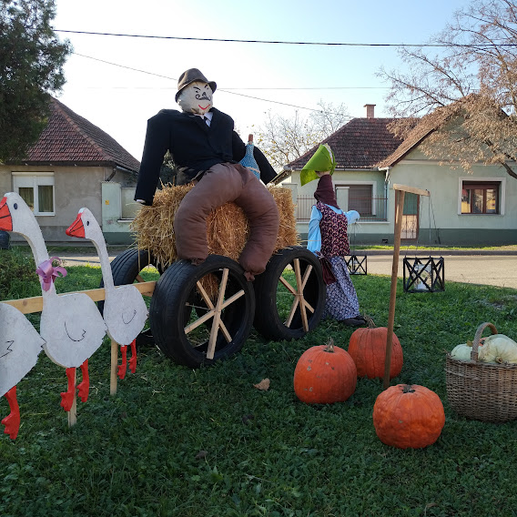 Márton a libák vontatta szekerén...