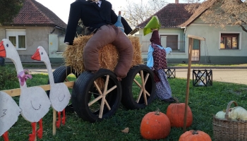 Márton a libák vontatta szekerén...