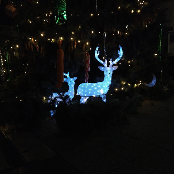 Csillagszóró fénye a békét hirdesse