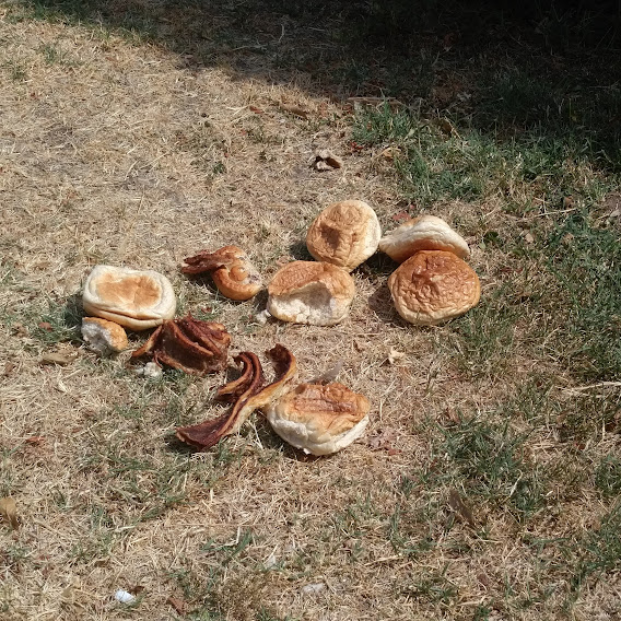 Elgondolkodtató - ez a város az otthonuk