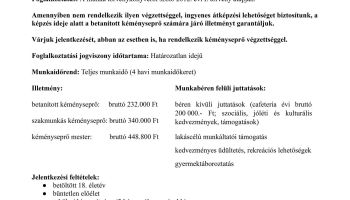 Álláshirdetés - betanított munkásokat és kéményseprő szakmunkásokat keresünk!