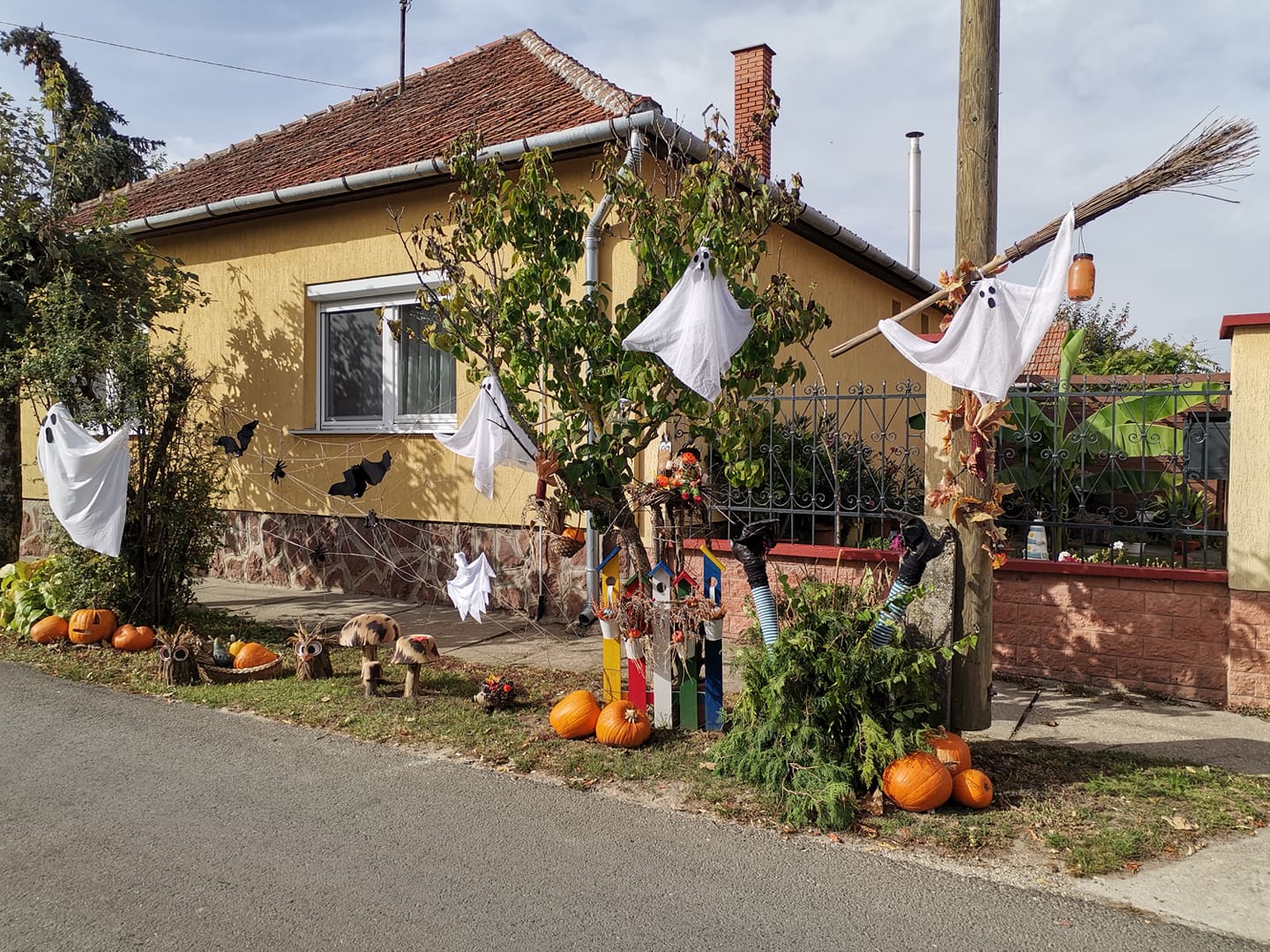 Ősz végi hangulat a Radnóti utcában