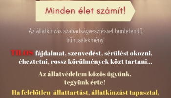 Az állatkínzás szabadságvesztéssel büntetendő bűncselekmény!