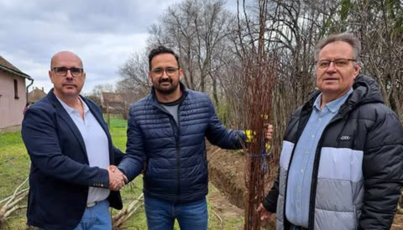 200 db facsemetét kapott Önkormányzatunk HÍRÖS Faiskolától