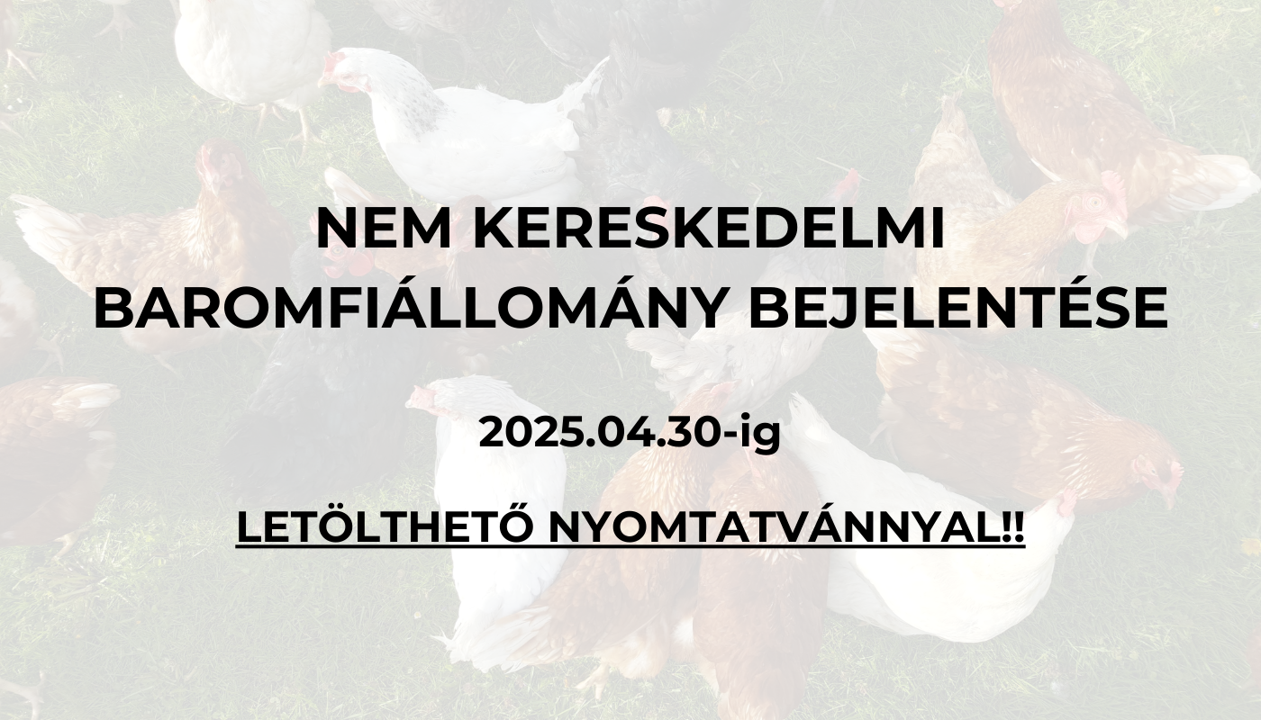 Nem kereskedelmi baromfiállomány bejelentése