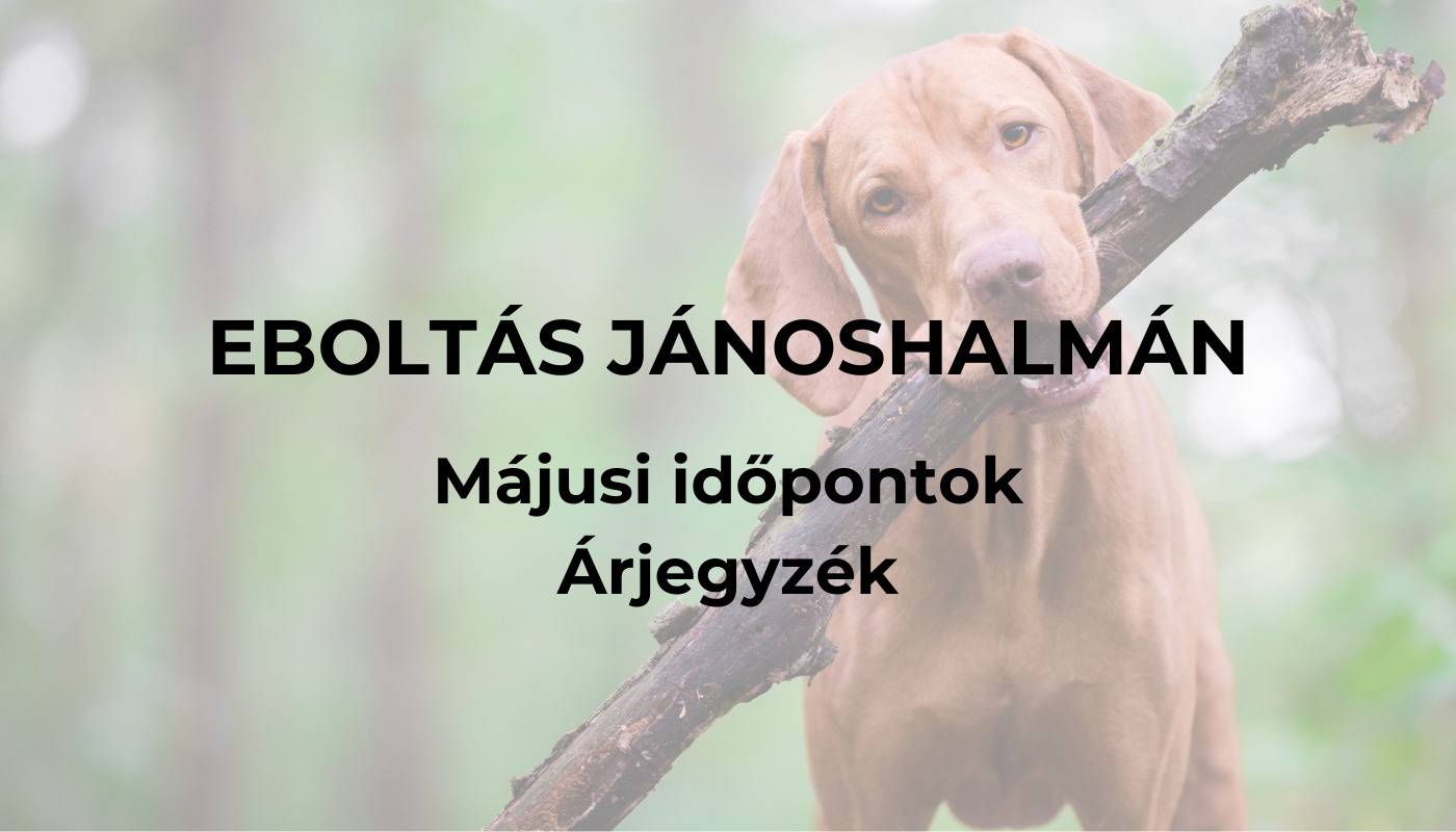 Eboltás Jánoshalmán