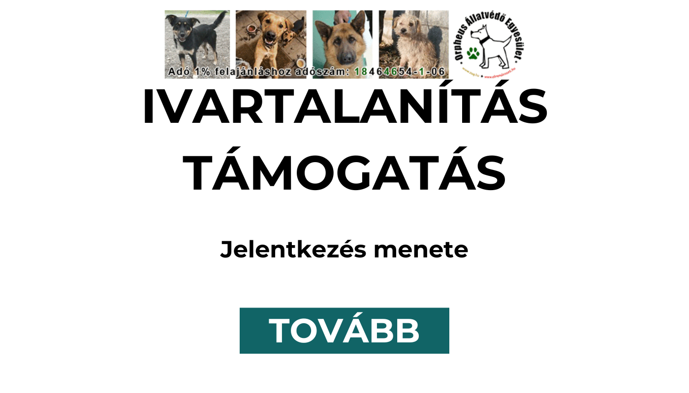 Ivartalanítás támogatás jelentkezés menete