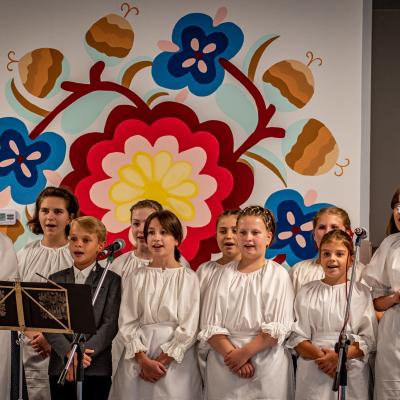 241164546 4389729884398557 5509246638960767821 N