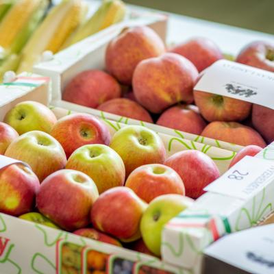 241782449 4440833569288188 8732322825672804597 N