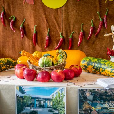 241991585 4440833335954878 7139124092987554801 N