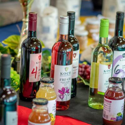 241991737 4440833219288223 4183383725683642331 N