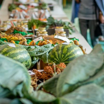 241994997 4440831505955061 3258560793190657387 N