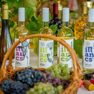 242007834 4440833585954853 739254909859953723 N