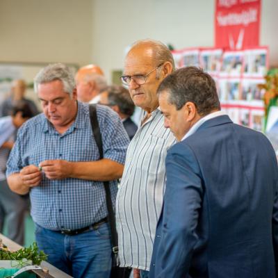 242019225 4440831825955029 5727535275224664784 N