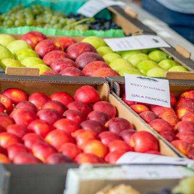 242032577 4440831685955043 609611634764473472 N