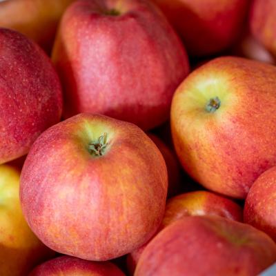 242246380 4440831679288377 5159116693813200657 N