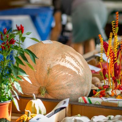 A Gazdakör értékelte az elmúlt év teljesítményét 2021