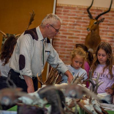 241967905 4443793948992150 817071900432545349 N