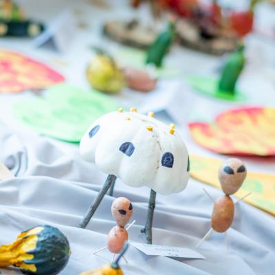 241978671 4443798062325072 4297178909434076054 N