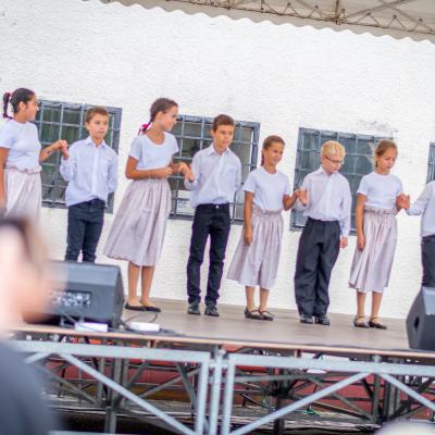 241987525 4443806725657539 88505190738598192 N