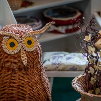 241993689 4443796792325199 6775176191635743122 N